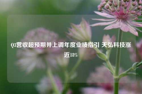 Q3营收超预期并上调年度业绩指引 天弘科技涨近18%