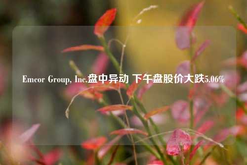 Emcor Group, Inc.盘中异动 下午盘股价大跌5.06%  第1张