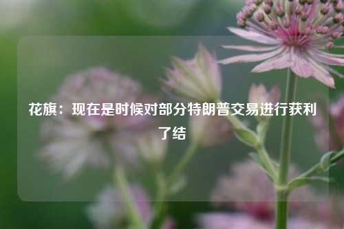 花旗：现在是时候对部分特朗普交易进行获利了结  第1张