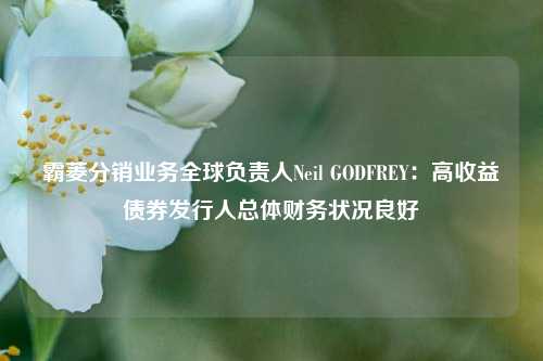 霸菱分销业务全球负责人Neil GODFREY：高收益债券发行人总体财务状况良好