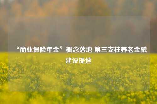 “商业保险年金”概念落地 第三支柱养老金融建设提速  第1张