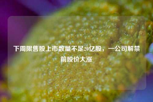 下周限售股上市数量不足20亿股，一公司解禁前股价大涨  第1张