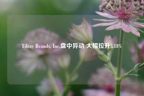 Tilray Brands, Inc.盘中异动 大幅拉升5.18%