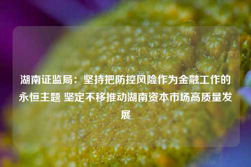 湖南证监局：坚持把防控风险作为金融工作的永恒主题 坚定不移推动湖南资本市场高质量发展  第1张