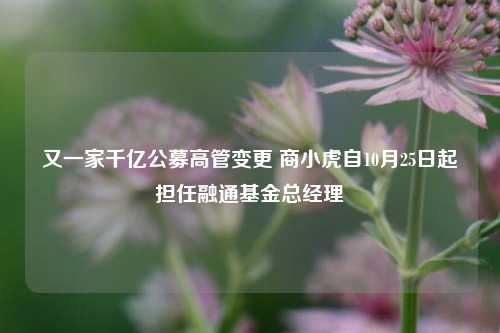 又一家千亿公募高管变更 商小虎自10月25日起担任融通基金总经理