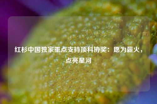 红杉中国独家重点支持顶科协奖：愿为薪火，点亮星河  第1张