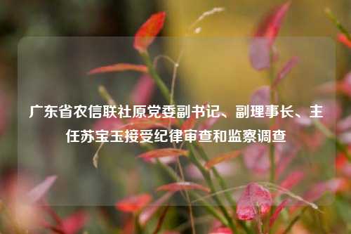 广东省农信联社原党委副书记、副理事长、主任苏宝玉接受纪律审查和监察调查  第1张