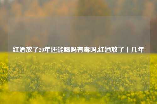 红酒放了20年还能喝吗有毒吗,红酒放了十几年