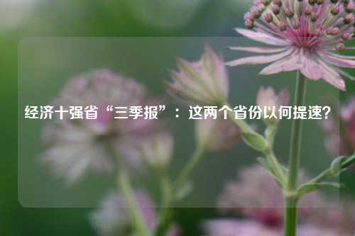 经济十强省“三季报”：这两个省份以何提速？  第1张