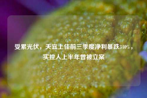 受累光伏，天宜上佳前三季度净利暴跌340%，实控人上半年曾被立案  第1张