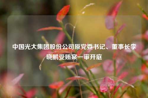 中国光大集团股份公司原党委书记、董事长李晓鹏受贿案一审开庭