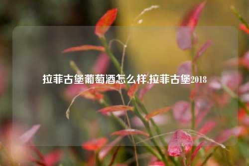 拉菲古堡葡萄酒怎么样,拉菲古堡2018  第1张