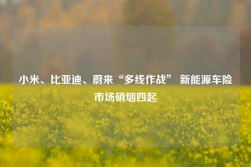 小米、比亚迪、蔚来“多线作战” 新能源车险市场硝烟四起  第1张