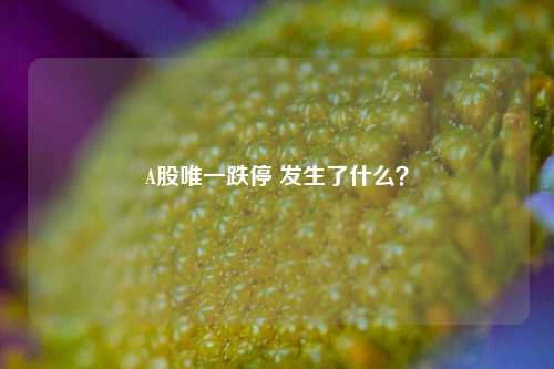 A股唯一跌停 发生了什么？  第1张