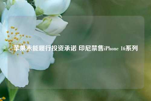 苹果未能履行投资承诺 印尼禁售iPhone 16系列