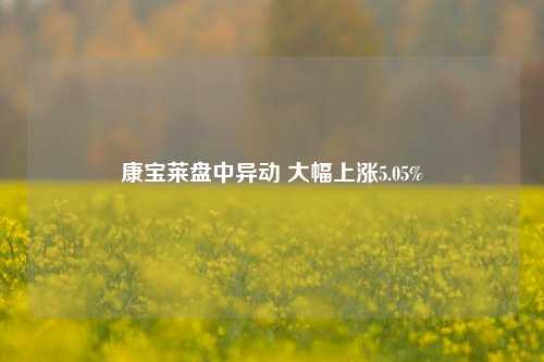 康宝莱盘中异动 大幅上涨5.05%  第1张