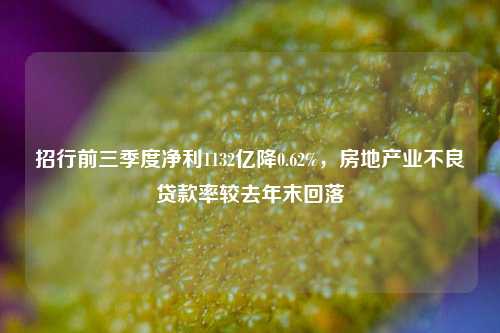 招行前三季度净利1132亿降0.62%，房地产业不良贷款率较去年末回落  第1张