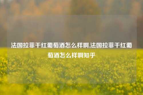 法国拉菲干红葡萄酒怎么样啊,法国拉菲干红葡萄酒怎么样啊知乎