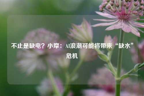 不止是缺电？小摩：AI浪潮可能将带来“缺水”危机  第1张