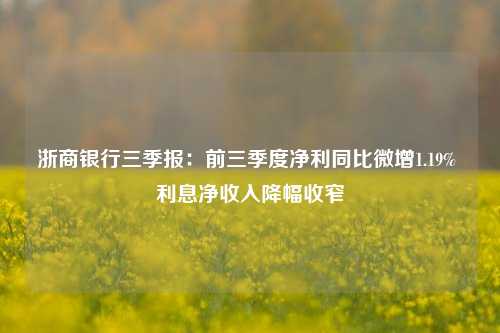 浙商银行三季报：前三季度净利同比微增1.19% 利息净收入降幅收窄  第1张