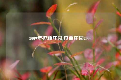 2009年拉菲庄园,拉菲庄园2008