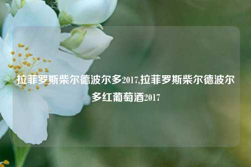 拉菲罗斯柴尔德波尔多2017,拉菲罗斯柴尔德波尔多红葡萄酒2017