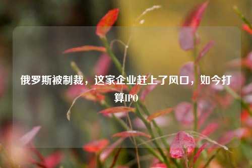 俄罗斯被制裁，这家企业赶上了风口，如今打算IPO  第1张