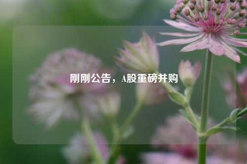 刚刚公告，A股重磅并购  第1张