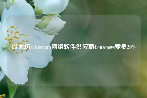 以太坊Ethereum网络软件供应商Consensys裁员20%  第1张