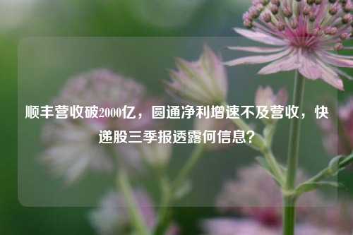 顺丰营收破2000亿，圆通净利增速不及营收，快递股三季报透露何信息？  第1张