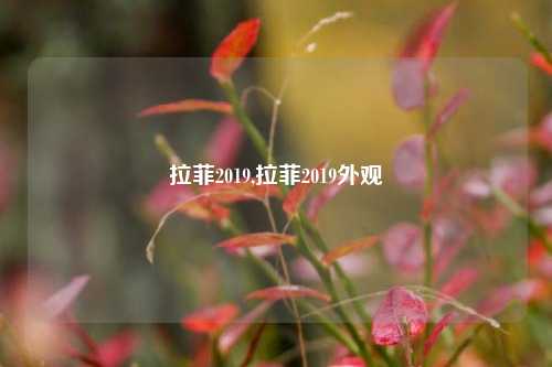 拉菲2019,拉菲2019外观