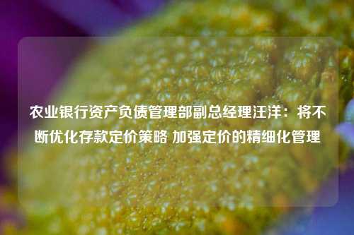 农业银行资产负债管理部副总经理汪洋：将不断优化存款定价策略 加强定价的精细化管理  第1张