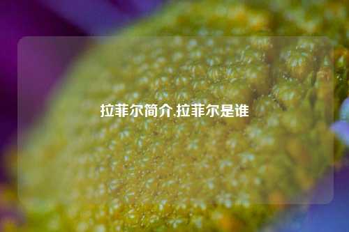 拉菲尔简介,拉菲尔是谁  第1张