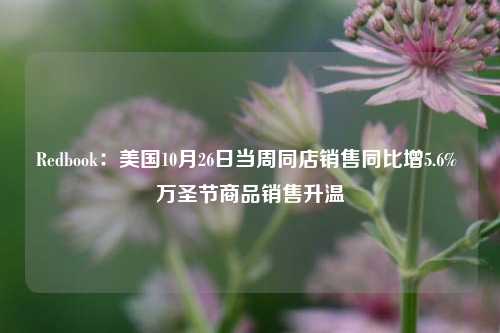 Redbook：美国10月26日当周同店销售同比增5.6% 万圣节商品销售升温  第1张