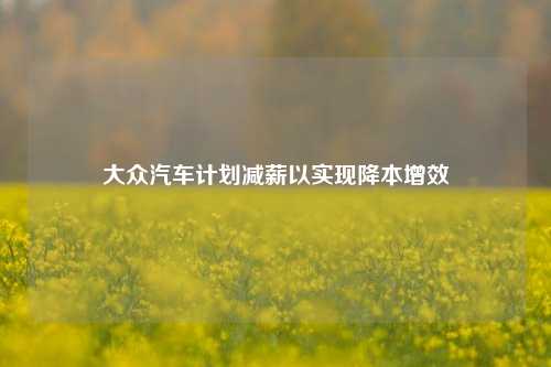 大众汽车计划减薪以实现降本增效  第1张