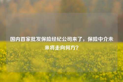 国内首家批发保险经纪公司来了，保险中介未来将走向何方？  第1张