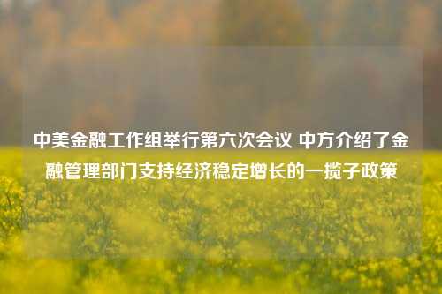 中美金融工作组举行第六次会议 中方介绍了金融管理部门支持经济稳定增长的一揽子政策  第1张