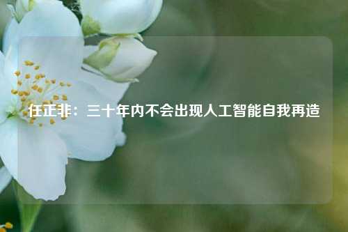 任正非：三十年内不会出现人工智能自我再造