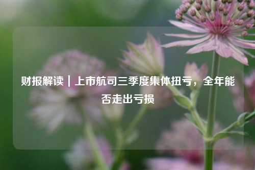 财报解读｜上市航司三季度集体扭亏，全年能否走出亏损  第1张