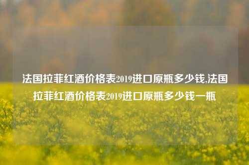 法国拉菲红酒价格表2019进口原瓶多少钱,法国拉菲红酒价格表2019进口原瓶多少钱一瓶  第1张