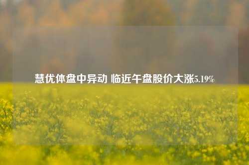 慧优体盘中异动 临近午盘股价大涨5.19%  第1张