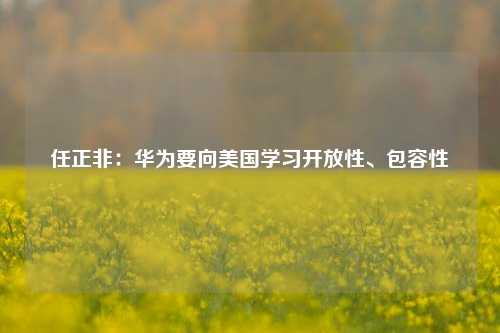 任正非：华为要向美国学习开放性、包容性  第1张