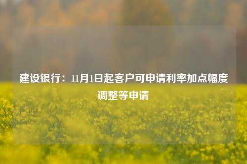 建设银行：11月1日起客户可申请利率加点幅度调整等申请  第1张