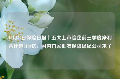 10月31日保险日报丨五大上市险企前三季度净利合计超3190亿，国内首家批发保险经纪公司来了  第1张