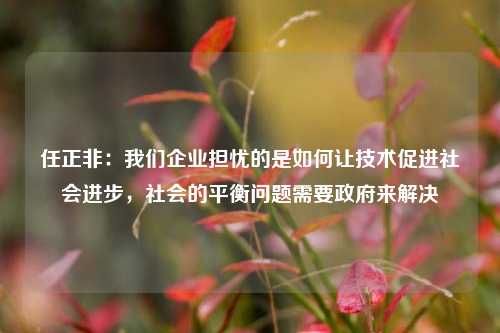 任正非：我们企业担忧的是如何让技术促进社会进步，社会的平衡问题需要政府来解决