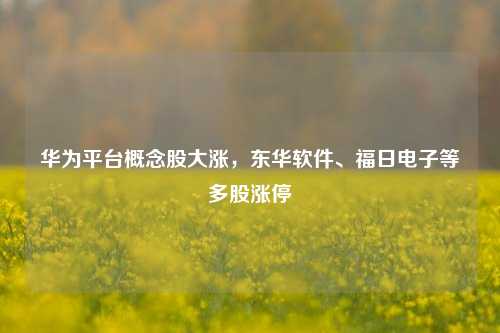 华为平台概念股大涨，东华软件、福日电子等多股涨停