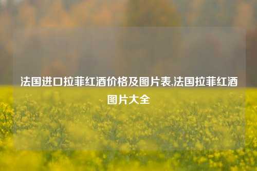 法国进口拉菲红酒价格及图片表,法国拉菲红酒图片大全