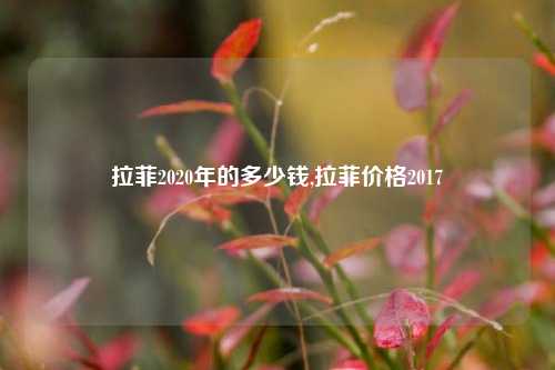 拉菲2020年的多少钱,拉菲价格2017