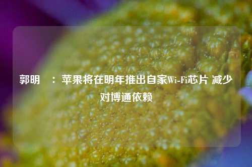 郭明錤：苹果将在明年推出自家Wi-Fi芯片 减少对博通依赖