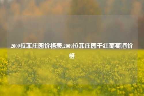 2009拉菲庄园价格表,2009拉菲庄园干红葡萄酒价格